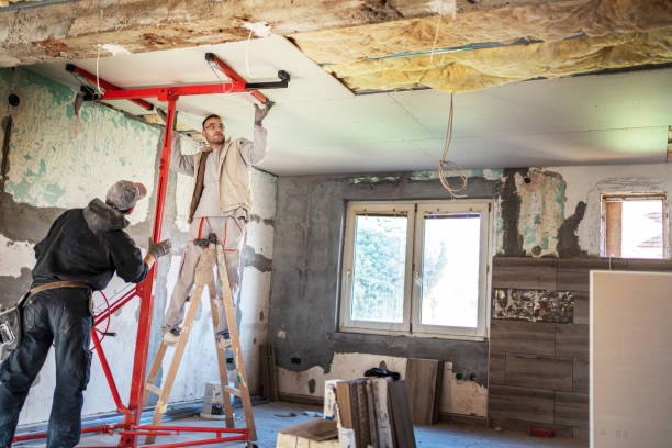 Best Insulation Maintenance and Repair in Maple Plain, MN