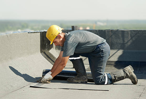 Best Eco-Friendly Insulation in Maple Plain, MN