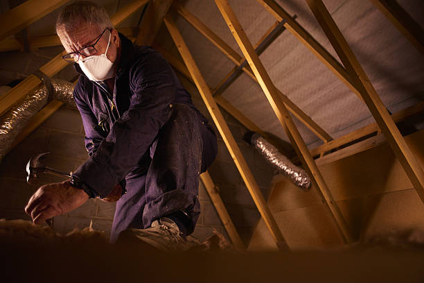 Best Energy Efficiency Insulation in Maple Plain, MN